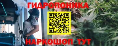 ешки Гагарин