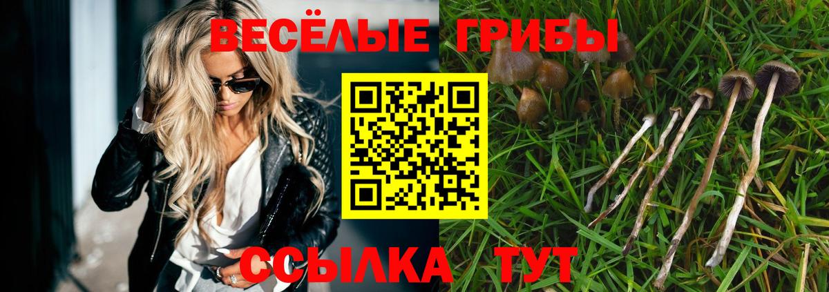 Псилоцибиновые грибы MAGIC MUSHROOMS  Вход с VPN  Сызрань 